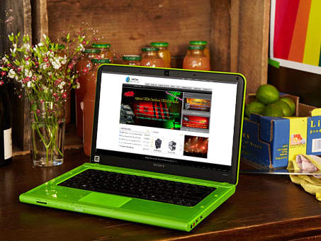 VanGaa's New Homepage has Oneline